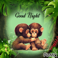 Good Night Monkeys - Free animated GIF