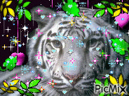 tigre blanc animovaný GIF