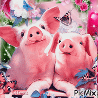Pigs and Flowers