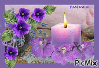 purple dream - Gratis geanimeerde GIF
