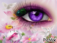 occhio - Ingyenes animált GIF