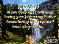 bible verse - GIF animado grátis
