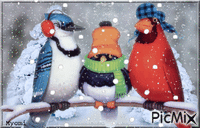 Oiseaux neige Animated GIF