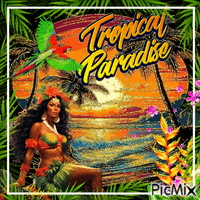 tropical - GIF animé gratuit