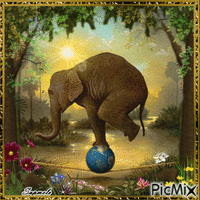 Elefante equilibrista - Bezmaksas animēts GIF