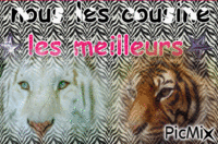 les animaux - Δωρεάν κινούμενο GIF