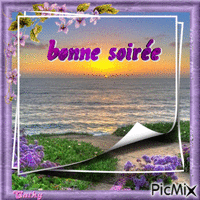 BONNE SOIREE Animated GIF
