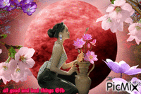 japan asia flowers moon woman - Kostenlose animierte GIFs