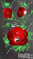ruže - GIF animé gratuit