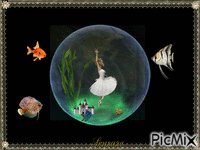 Life in a fish bowl GIF animata