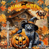 Halloween-Katze - GIF เคลื่อนไหวฟรี