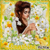 Good Morning my little Sunshine - GIF animasi gratis