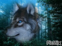 loup\forêt - Ilmainen animoitu GIF