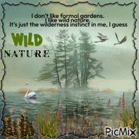 Wild nature