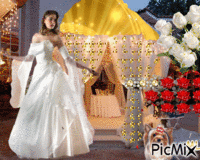 Menyasszony! animerad GIF