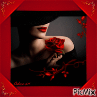 Red rose in a red frame