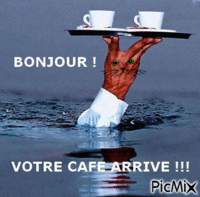 bonjour humour chat - Безплатен анимиран GIF