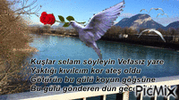 Kuş ve gül - Бесплатный анимированный гифка
