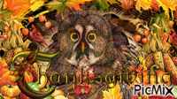 THANKSGIVING OWL анимиран GIF