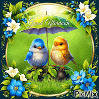 Good Afternoon Spring Shower and Cute Birds - Ücretsiz animasyonlu GIF