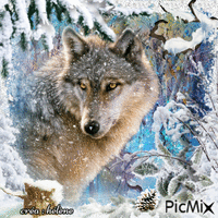 concours : Animal sauvage en hiver - GIF animé gratuit