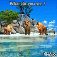 Lions animēts GIF