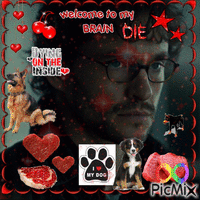 meat dog will graham autism Animiertes GIF
