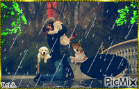 Couple sous la pluie - Ingyenes animált GIF