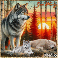 Good morning. Wolfs - GIF animé gratuit