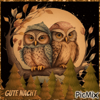 Gute Nacht GIF แบบเคลื่อนไหว