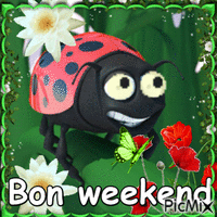 Bon weekend Animated GIF