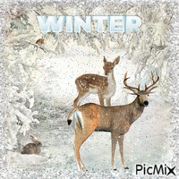 Winter hiver 动画 GIF