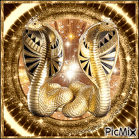 Cobra in Golden Circle - Δωρεάν κινούμενο GIF