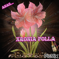XRONIA POLLA - Gratis animerad GIF