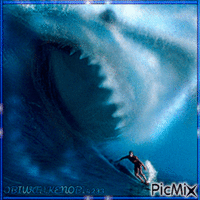 Shark Surf Wave анимированный гифка