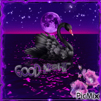 Good Night - Безплатен анимиран GIF
