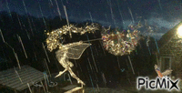 #12302 Passenger Pigeon WLP POST - Darmowy animowany GIF