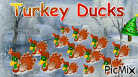 Turkey Ducks - Animovaný GIF zadarmo