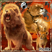 Africa-Lion - Gratis animerad GIF