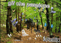 gif che passione - Ücretsiz animasyonlu GIF