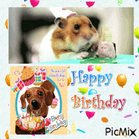 Happy Birthday Pets - Ingyenes animált GIF
