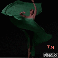 balet d - Free animated GIF