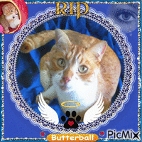 RIP Our Beloved Butterball - GIF animé gratuit