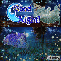 good night kitty animowany gif