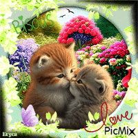 Chatons love - bisous - Free animated GIF