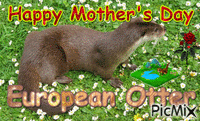 European Otter - GIF animado grátis