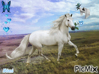 amour de cheval - GIF animado gratis