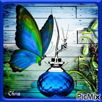 papillon bleu - zadarmo png