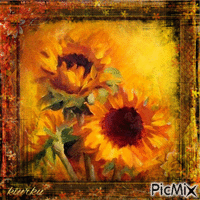 Sunflower Animated GIF