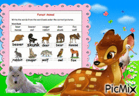 Forest animals - Free animated GIF